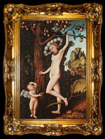 framed  Lucas  Cranach Cupid Complaining to Venus, ta009-2